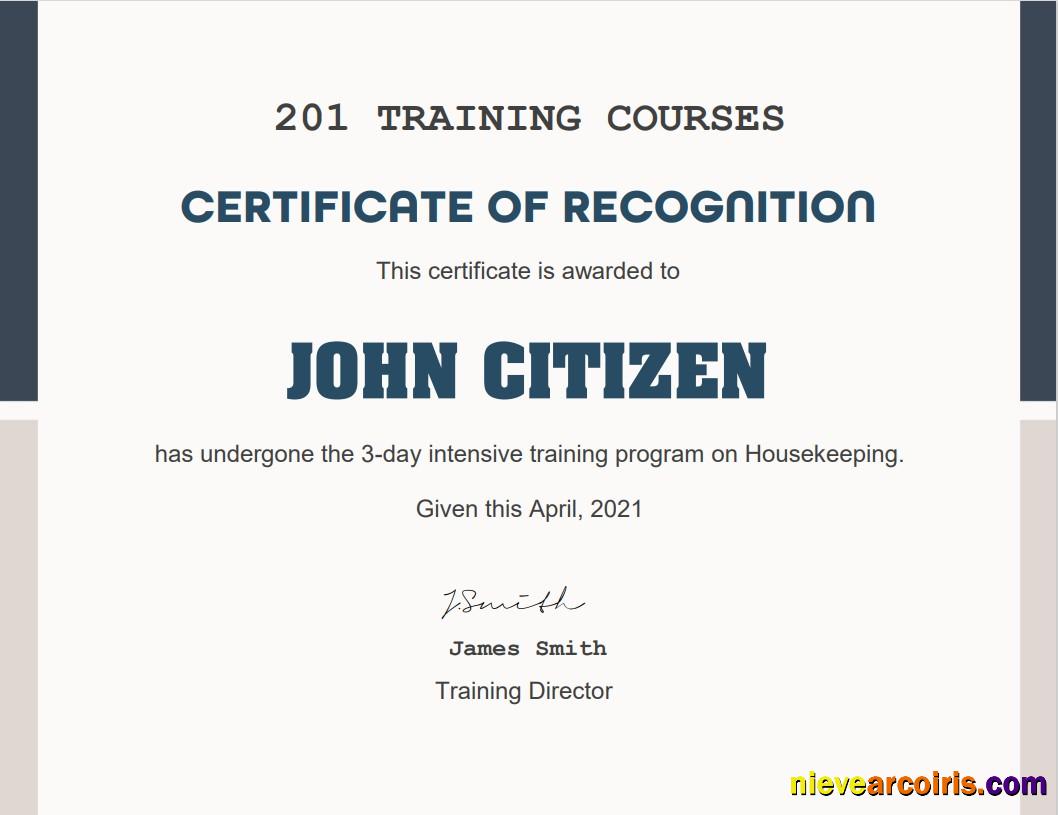 USA Training Course certificate
